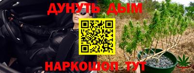 наркотики Боровичи