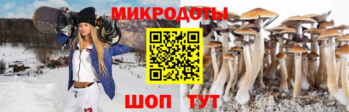 Псилоцибиновые грибы Cubensis  Псилоцибиновые грибы Psilocybe  наркошоп  Грязи  Вход с VPN 